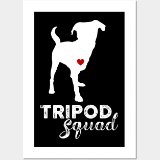 Tripod Squad, Three-Legged Dogs Posters and Art